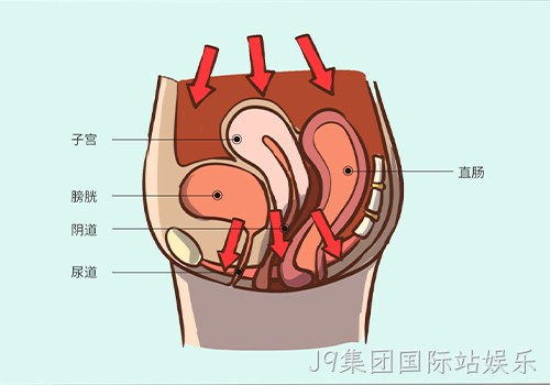 助力女性盆底功能健康发展，J9集团国际站娱乐推出高频评估电灼仪