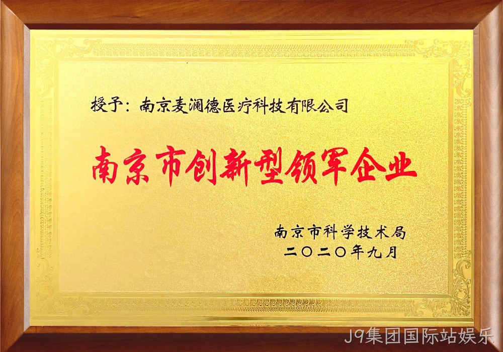 南京市创新型领军企业