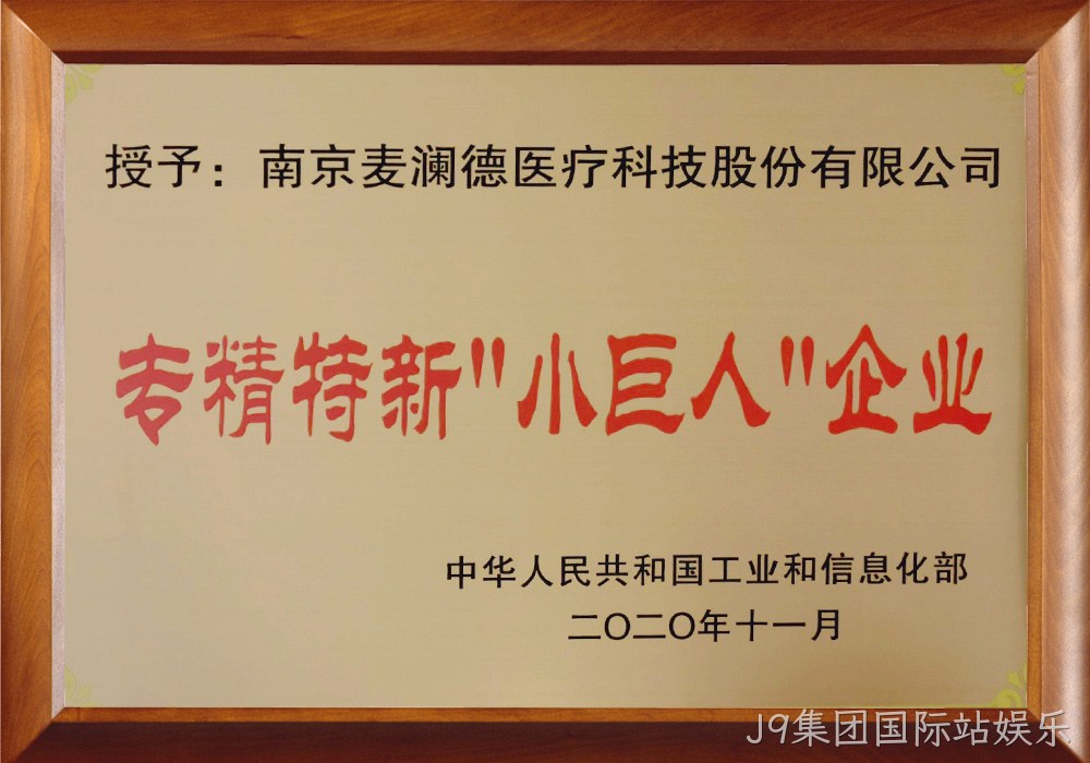 工信部专精特新小巨人企业